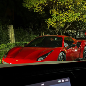 最新女人另类CCCC
