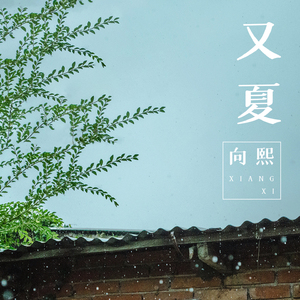 最新女人另类CCCC
